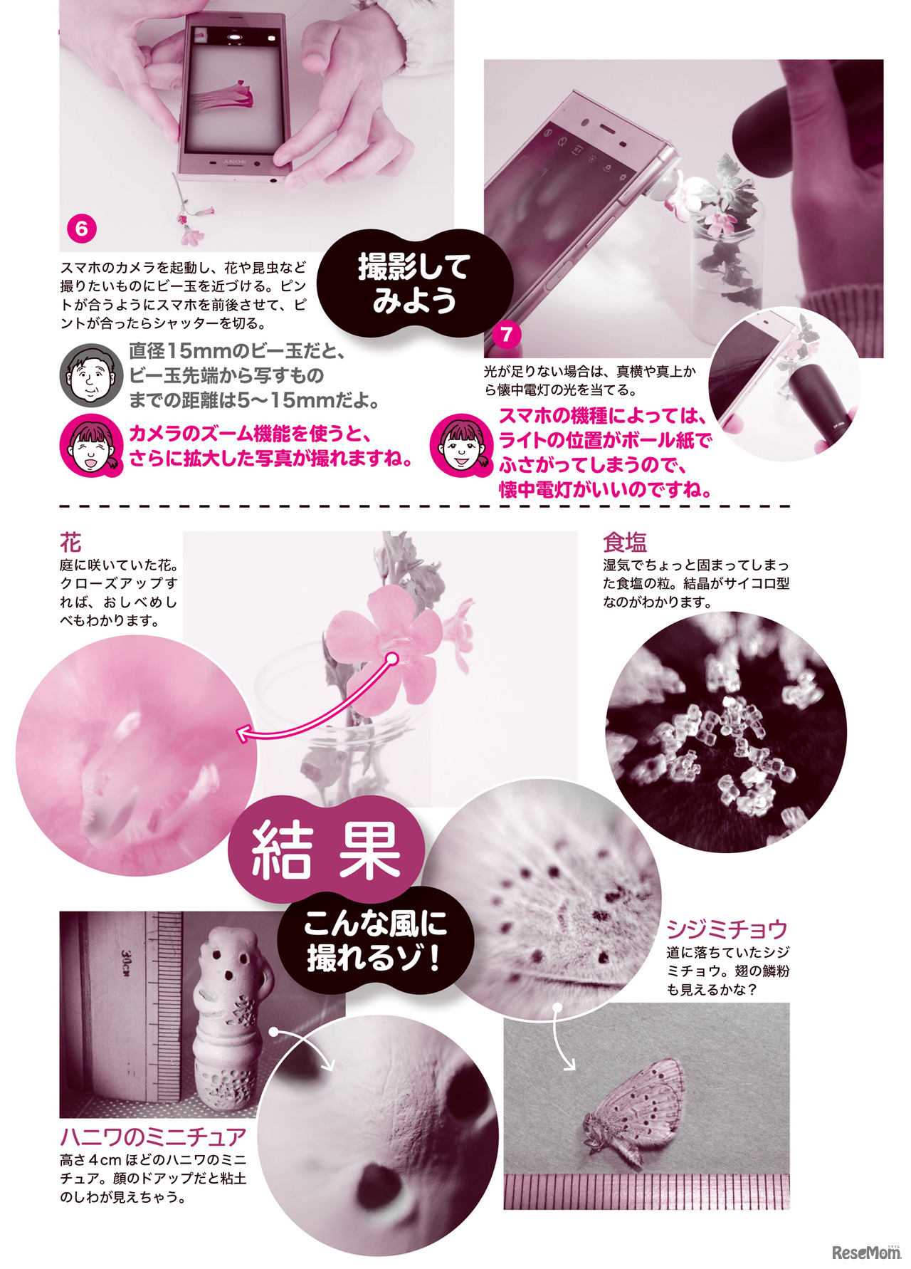 「子供の科学 2020年 7月号」