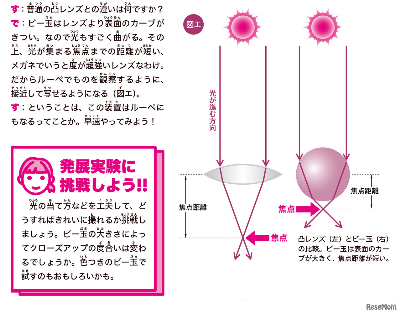 「子供の科学 2020年 7月号」