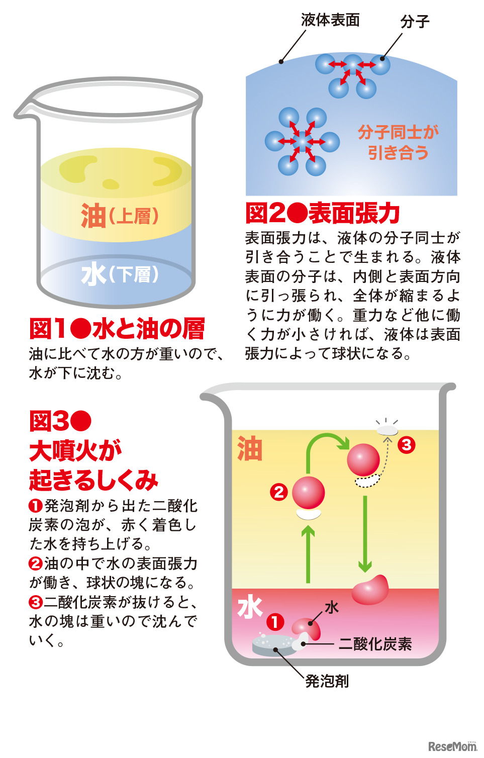 「子供の科学2020年 8月号」