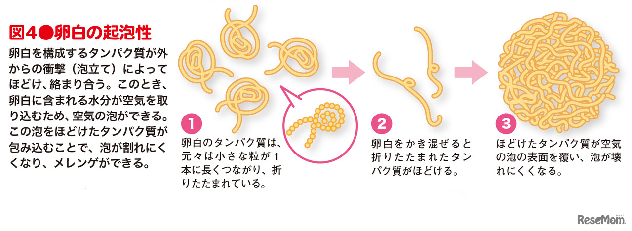 「子供の科学 2020年 7月号」