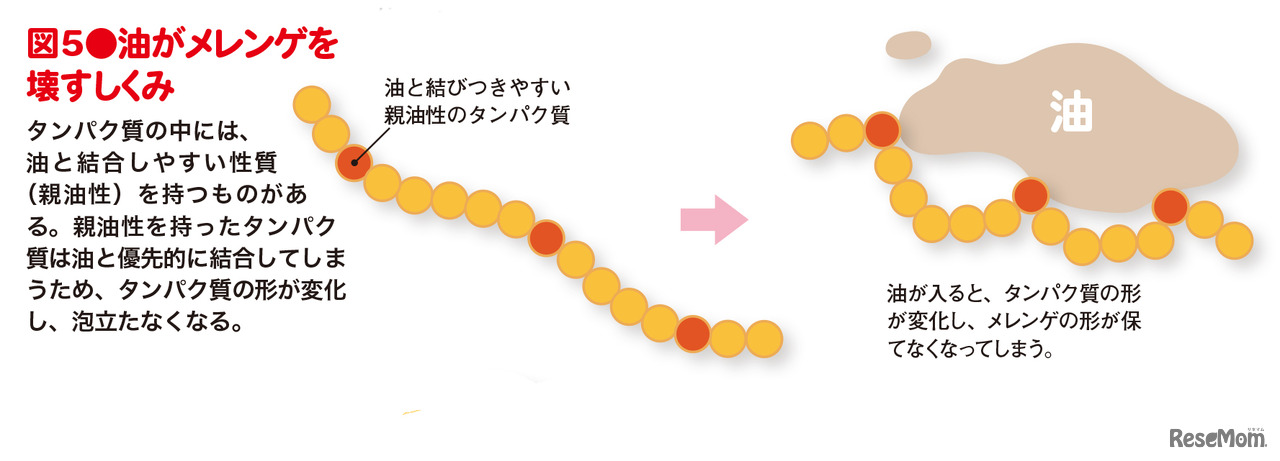 「子供の科学 2020年 7月号」