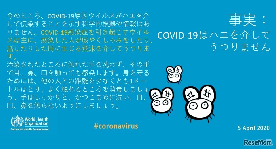 COVID-19はハエを介してうつりません
