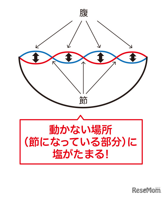 「東大流！ 本気の自由研究で新発見 QuizKnock Lab」（著：須貝駿貴）より