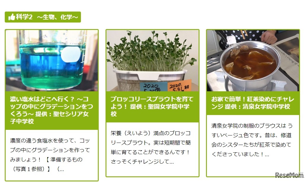 オンライン体験一覧