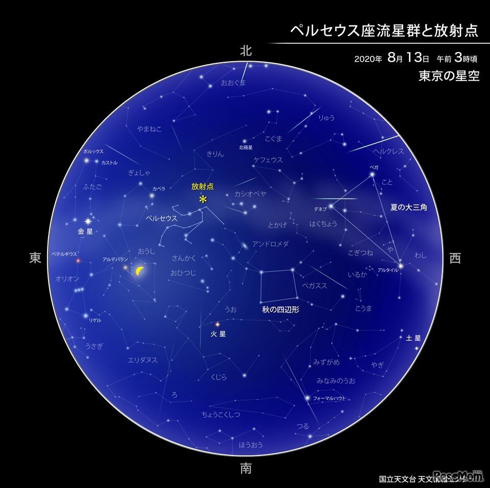 ペルセウス座流星群と放射点（2020年8月13日午前3時ごろ 東京の星空）　（c） 国立天文台天文情報センター