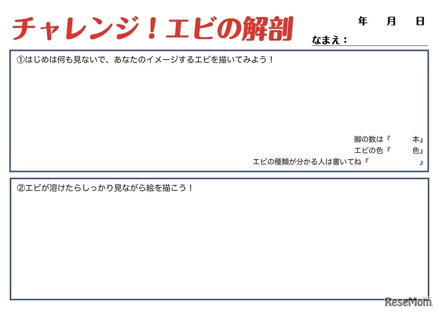 お絵描きセット（イメージ）