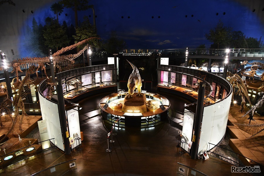 チコちゃんといっしょに課外授業「恐竜王を目指せ！わくわくライブ」