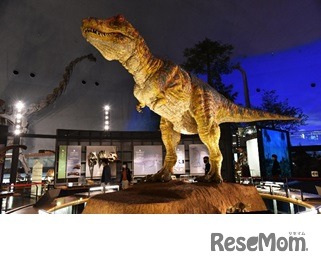 チコちゃんといっしょに課外授業「恐竜王を目指せ！わくわくライブ」