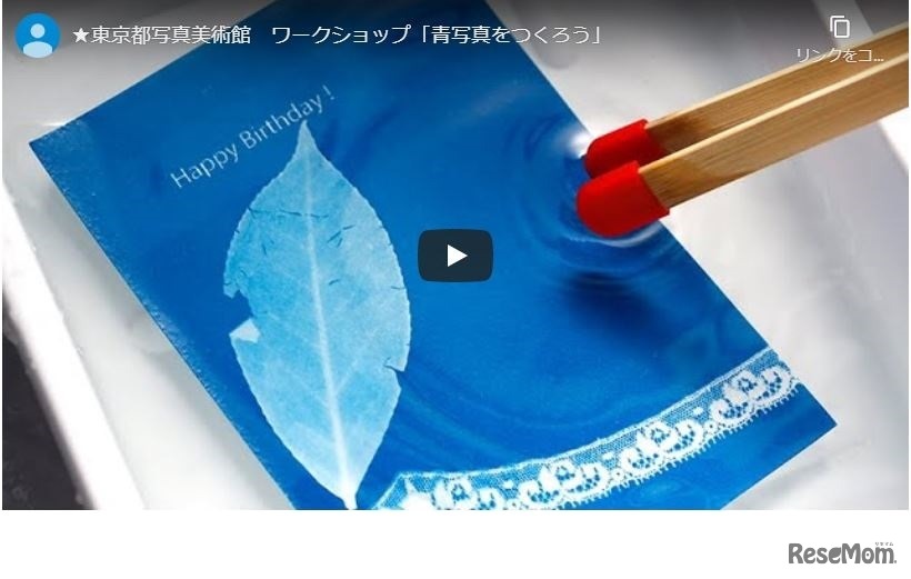 東京都写真美術館「『青写真』をつくってみよう（オンラインワークショップ）」