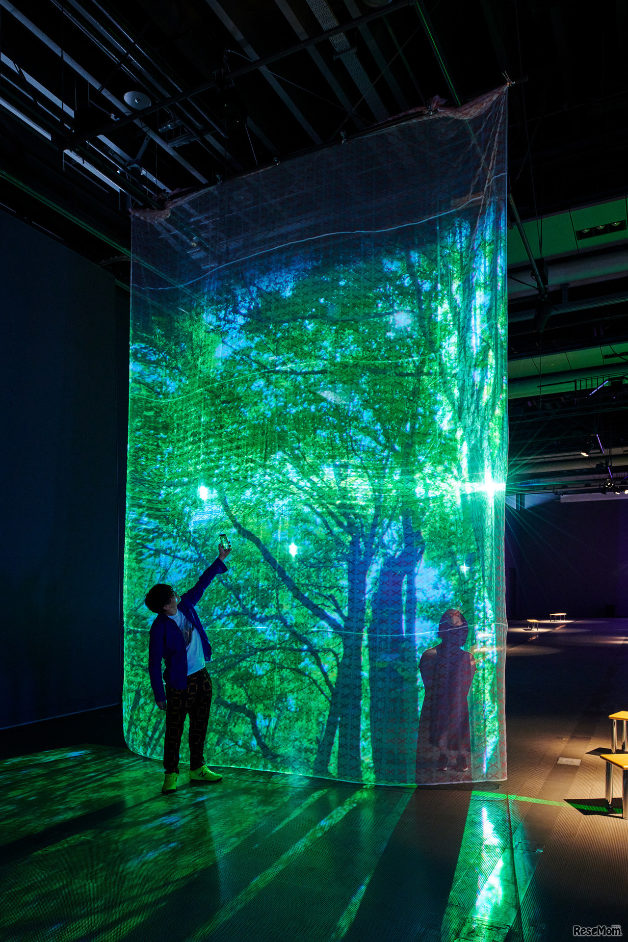 空間インスタレーション「ひらめきの庭」／いきつぎの森：頭の中に「余白」をつくる