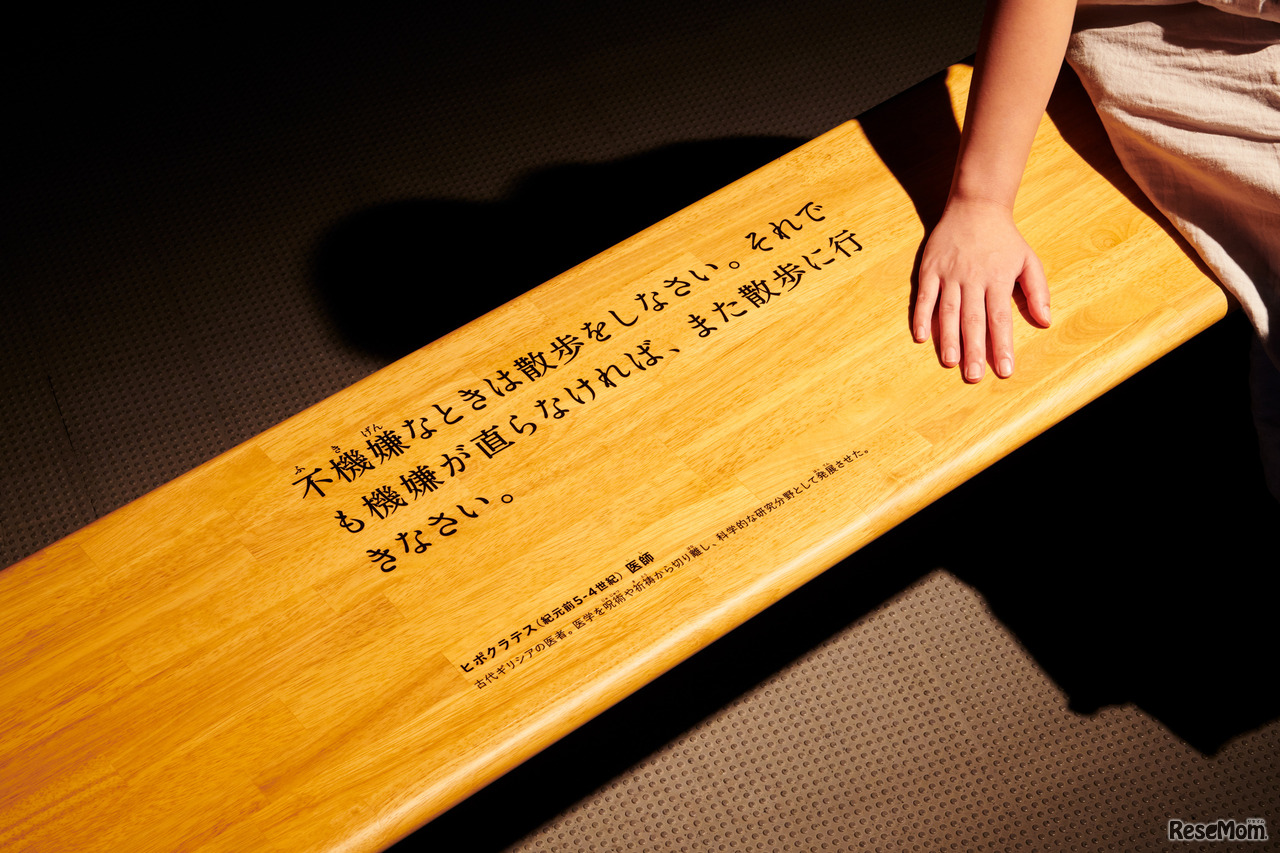 空間インスタレーション「ひらめきの庭」／ささやきのベンチ：新しい「知」と出合う