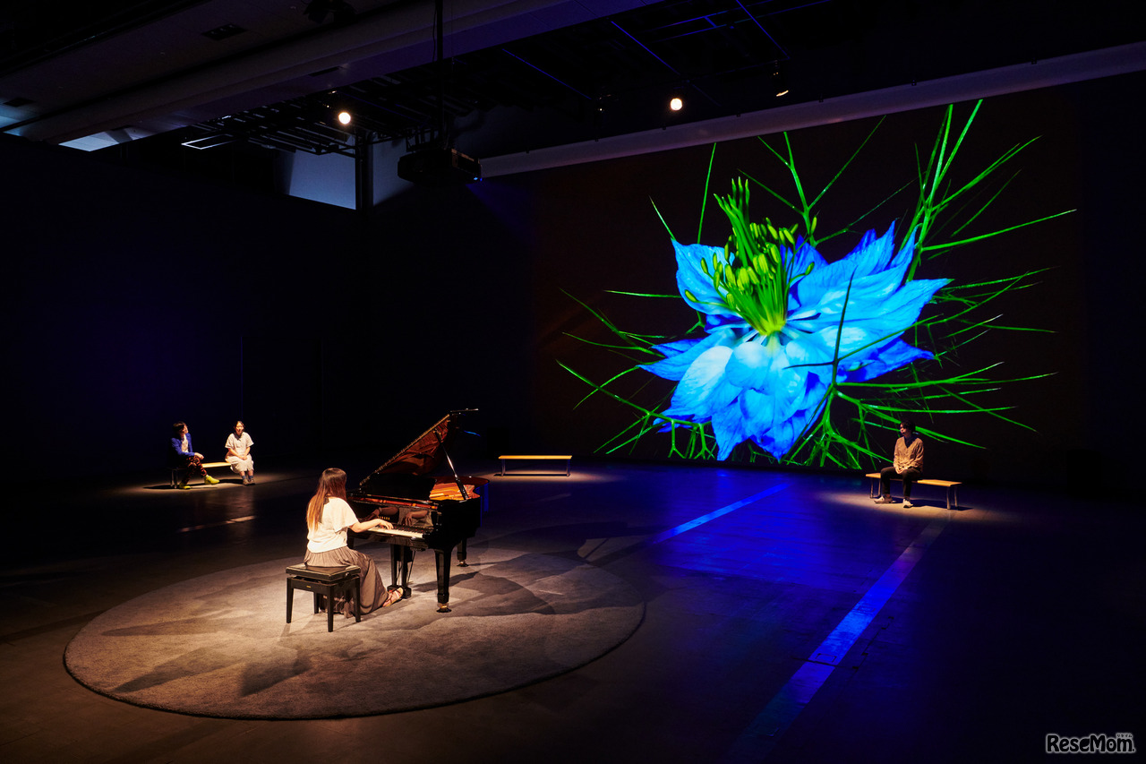 空間インスタレーション「ひらめきの庭」／ときめきのピアノ：AIが奏でる音楽を聴き、自分も音楽で表現してみる