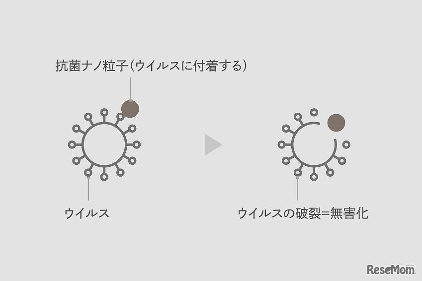 抗菌ナノ粒子がウイルスに付着