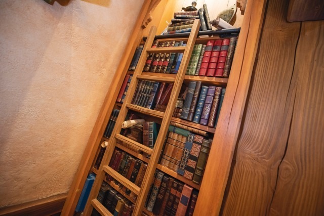 ついにオーオンした東京ディズニーランド大規模開発エリア！(C) Disney