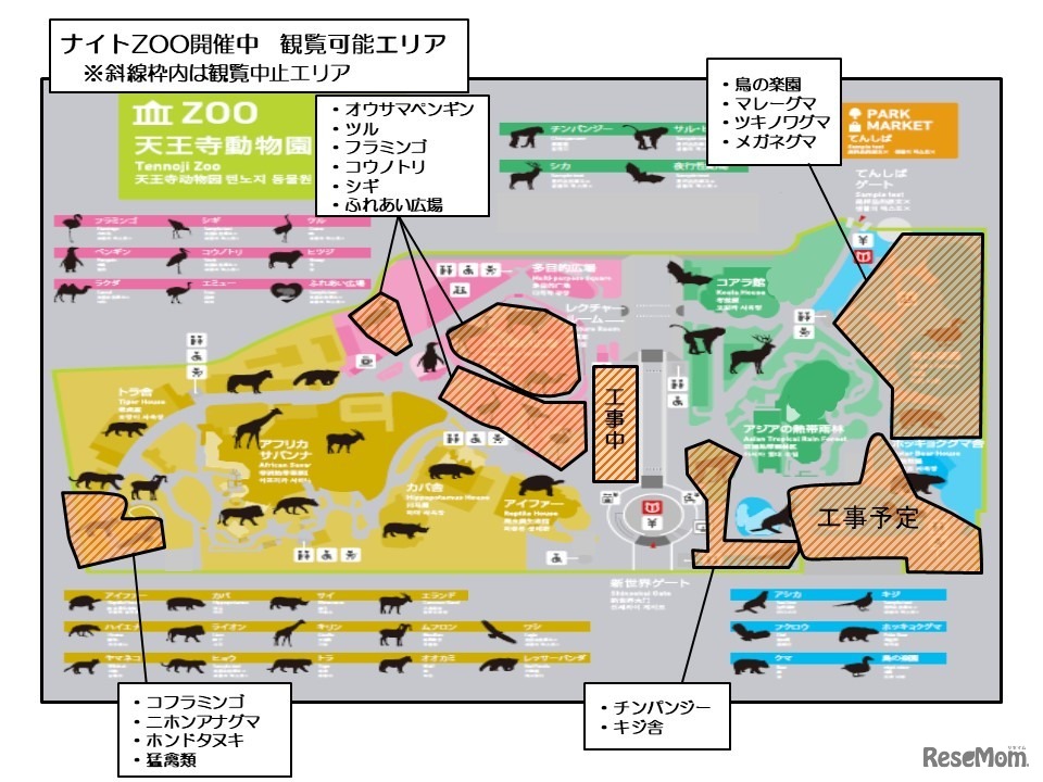 天王寺動物園「秋のナイトZOO」観覧可能エリア