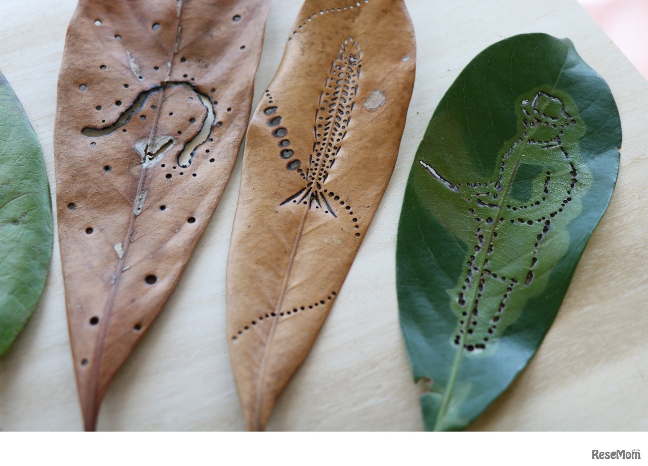 第2弾「アートで自然と遊ぼう」葉っぱのステンシル（イメージ）