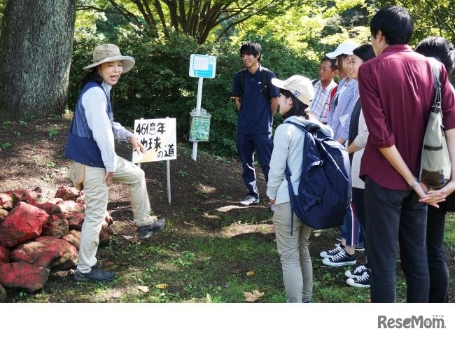 富良野自然塾東京校（国営昭和記念公園での実施風景）