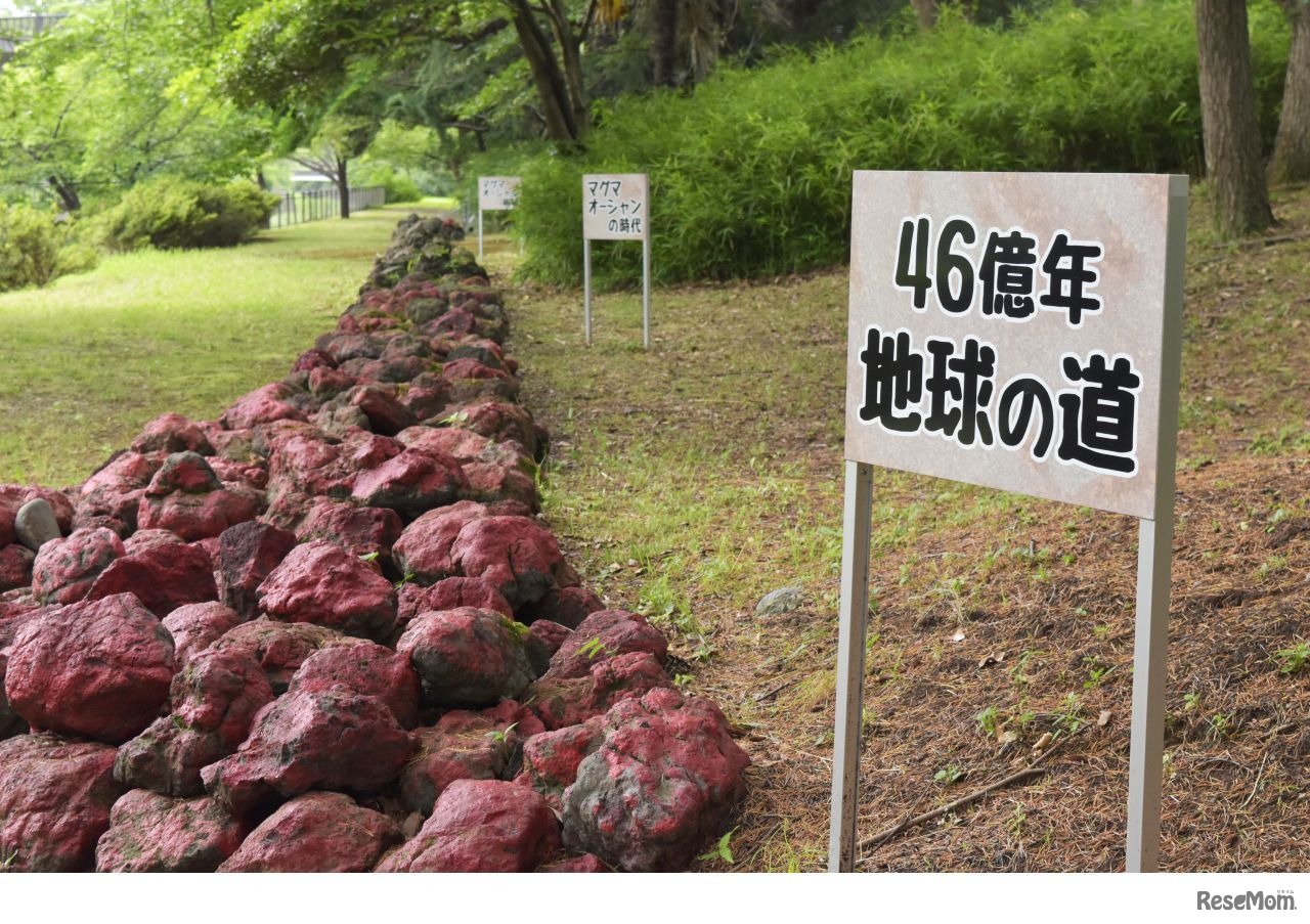 富良野自然塾東京校の出張プログラム「46憶年・地球の道」