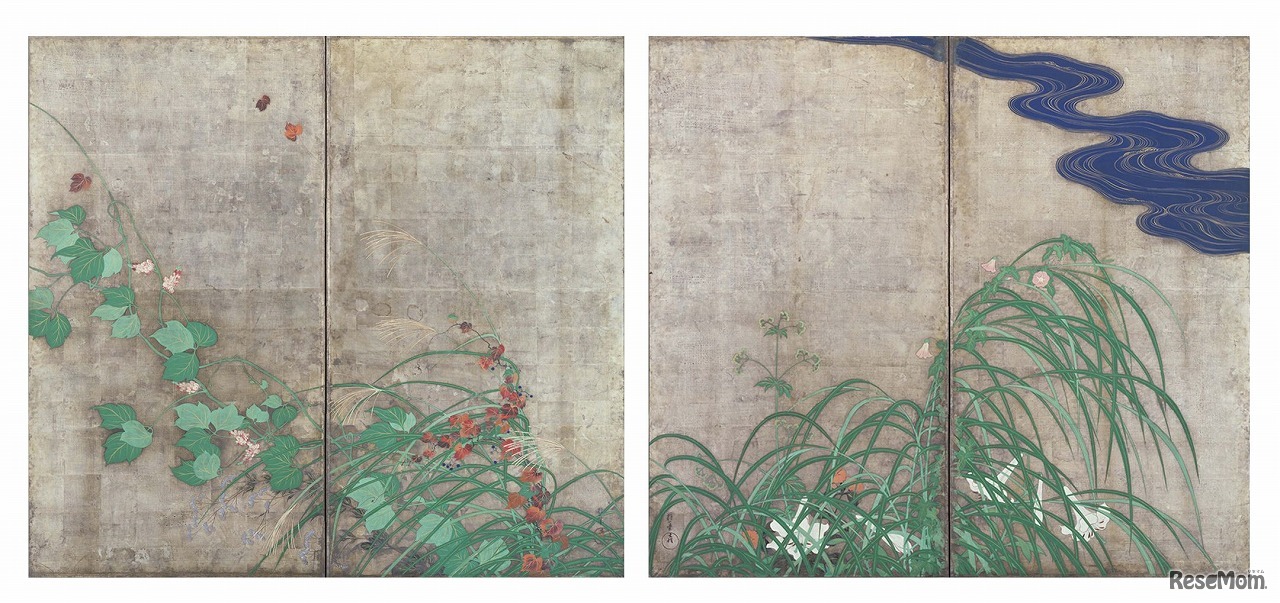 重要文化財「夏秋草図屏風」