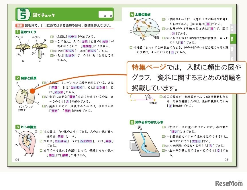 理科の紙面より