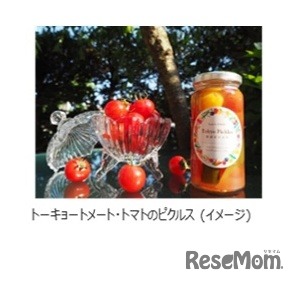 トーキョートメート・トマトのピクルス（イメージ）