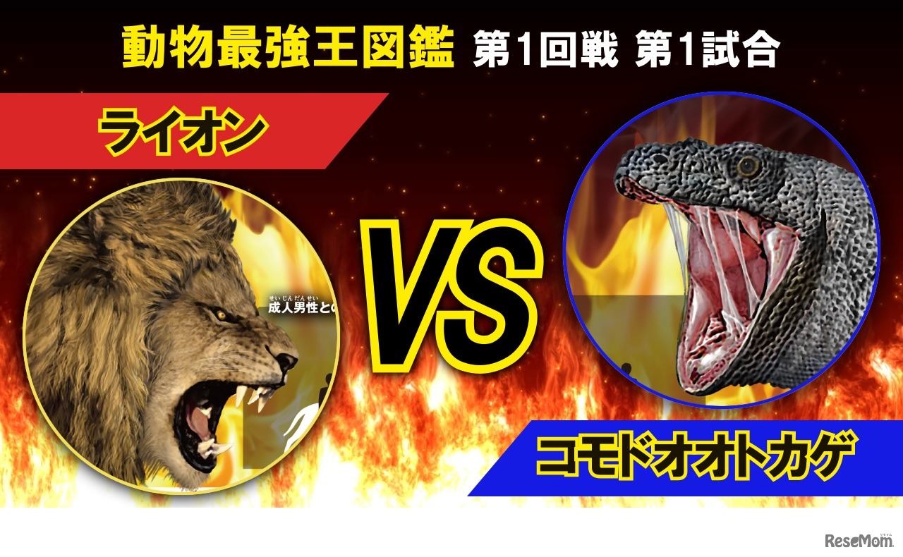 「最強王図鑑」シリーズ各巻のバトルの模様を、聴いても楽しめる迫力あるバトル実況にして公開