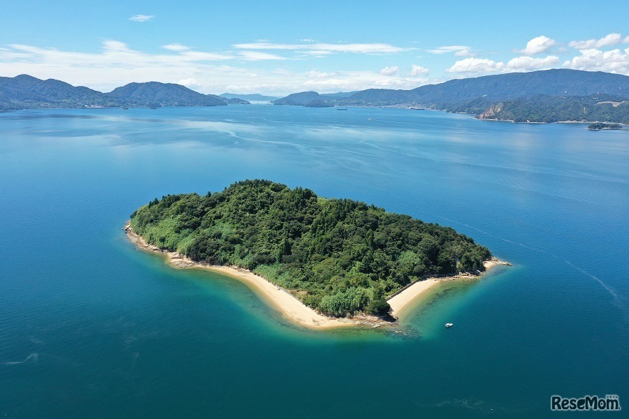 2020年秋、究極の野外体験「花まる無人島」が本格始動