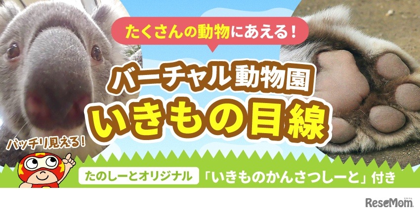 バーチャル動物園「いきもの目線」