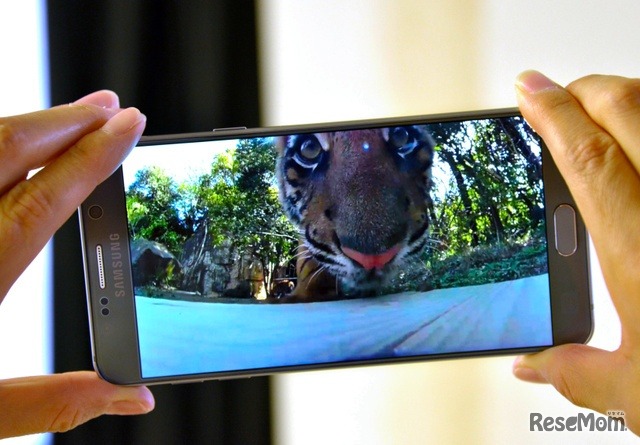 スマートフォンに映し出された動物のVR動画（天田充佳撮影）