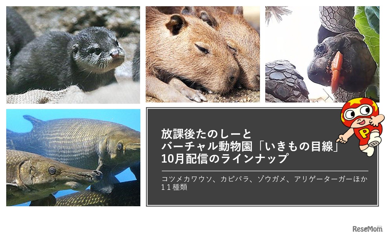 10月配信のラインアップ