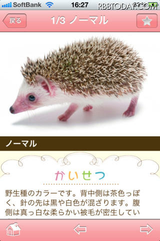 気分はシートン！？ スマホアプリ「かわいい小動物図鑑」が登場 