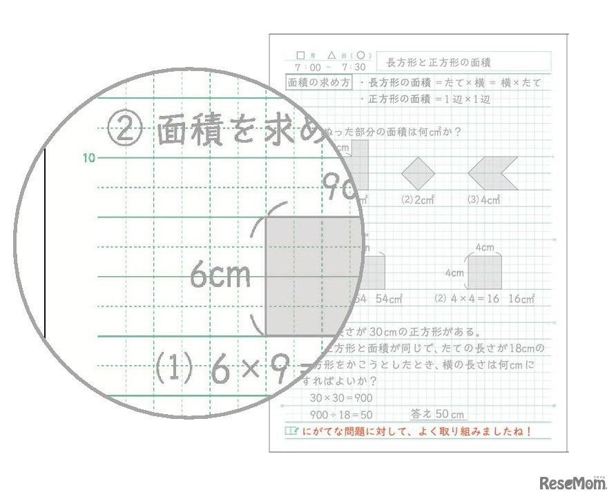 クロスリーダー罫