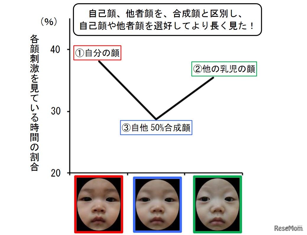各顔刺激を見ている時間の割合