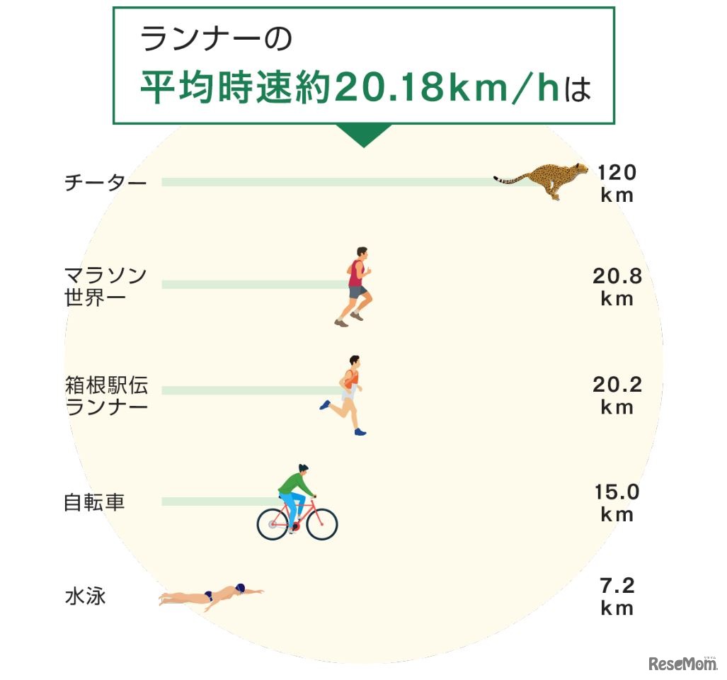数字で見る箱根駅伝