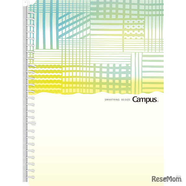 限定柄キャンパスバインダー（チェック）