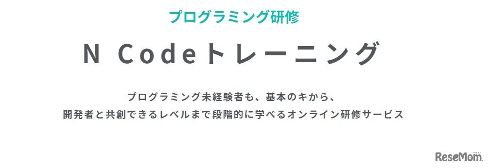 オンラインプログラミング研修サービス「N Code Training」