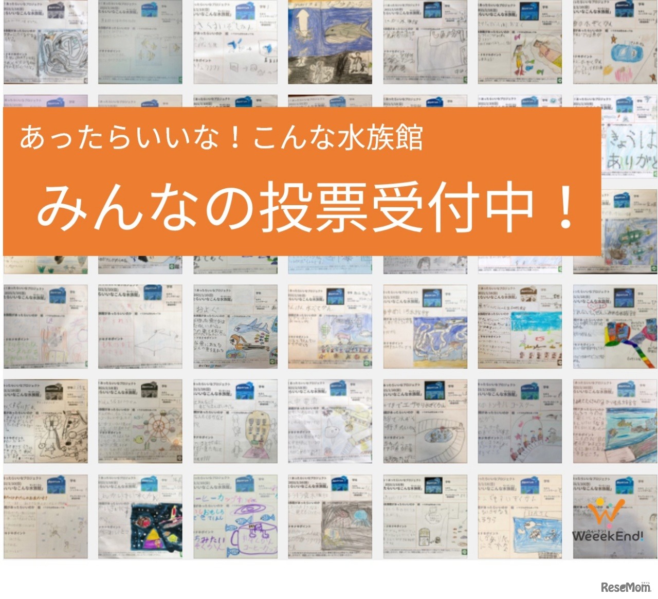 あったらいいな！こんな水族館　オンライン一般投票受付