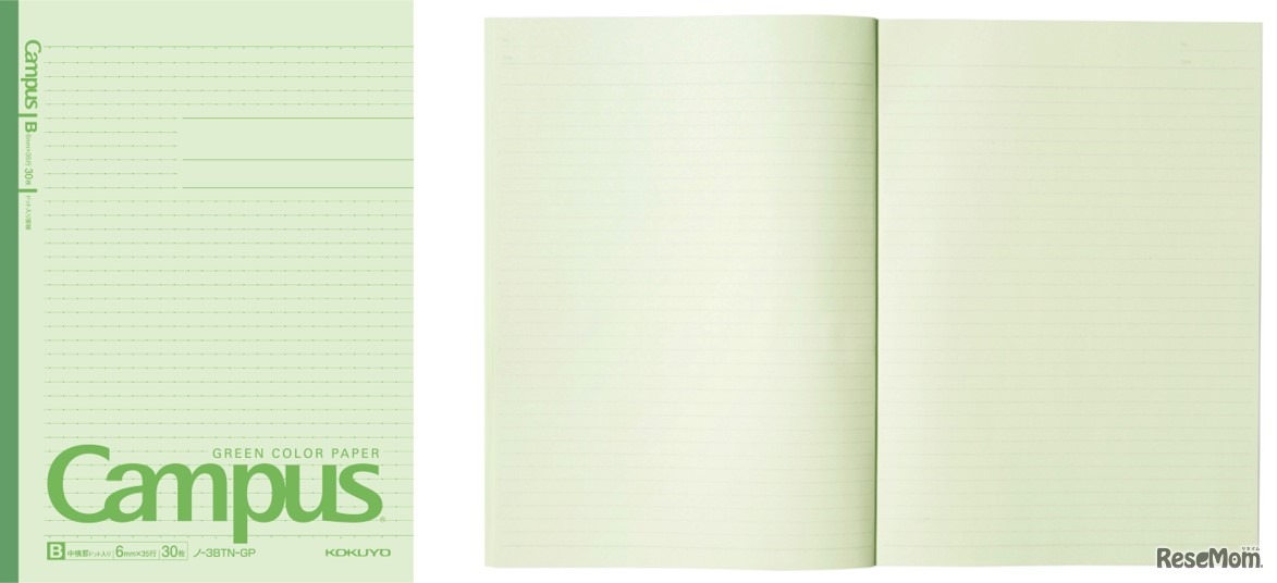 カラーノート（グリーン）
