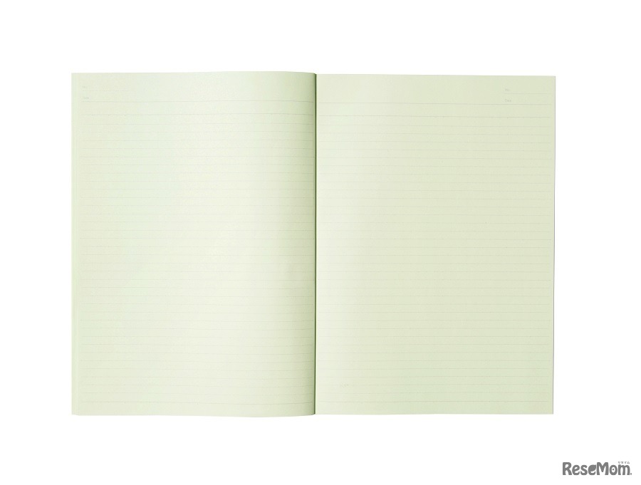 カラーノート（グリーン）