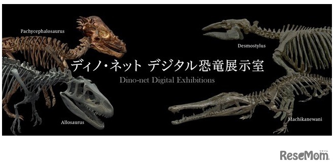 ディノ・ネット　デジタル恐竜展示室
