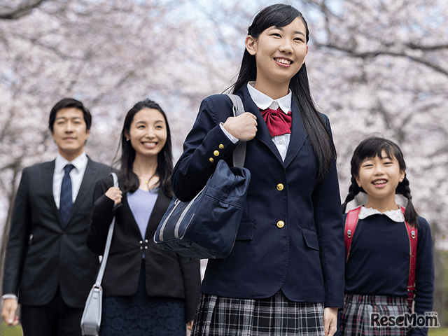 学生向けの損害保険への加入者は、自治体による自転車加入義務化条例の全国展開に伴い、年々増えている。