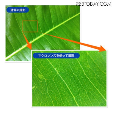 マイクロレンズを使用した写真と通常撮影の比較