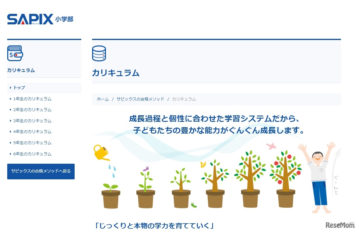 SAPIX小学部のカリキュラム