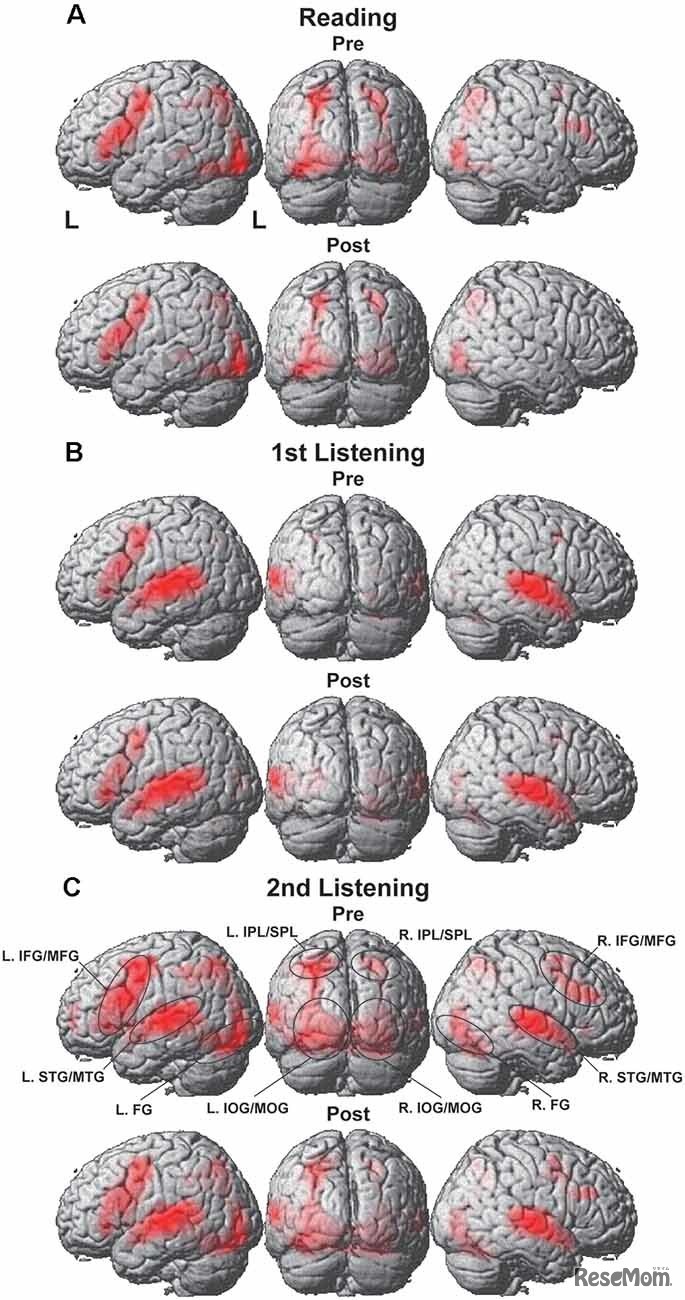 脳に与える効果