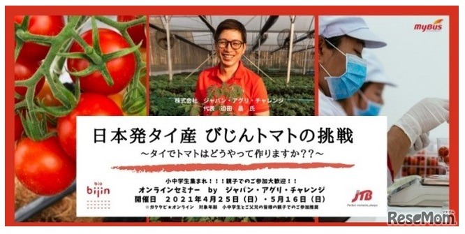 タイ 「日本発タイ産 びじんトマトの挑戦  タイでトマト農園を始めた日本人起業家のお話