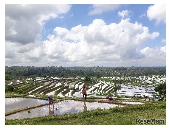 インドネシア 「地球にやさしい暮らし方をインドネシア・バリ島文化から学ぼう！！」