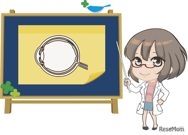 集まれ！未来のリケジョ！レンズのしくみを調べてみよう！［芝浦中高STEAM編］