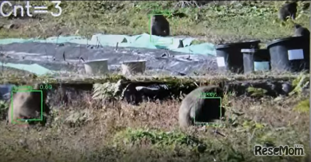畑で撮影された動画で効果検証を実施。 サルと認識されると自動的に緑の枠がつけられ、頭数もカウントされる
