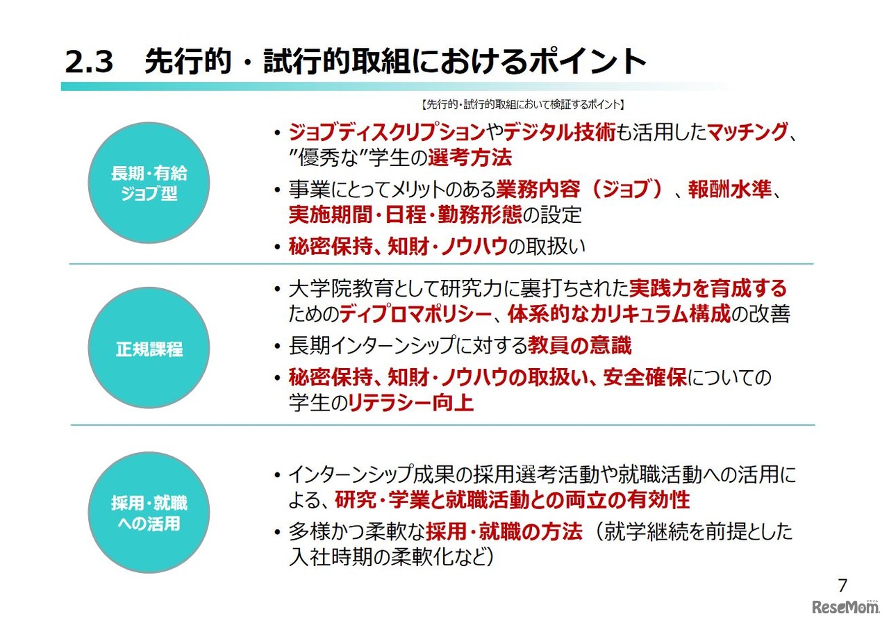 先行的・試行的取組みにおけるポイント