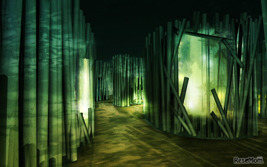 森林ゾーン（昼）（イメージ）